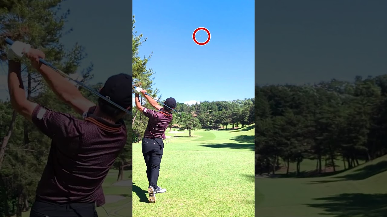 タイガー・ウッズのスーパーショットやってみました⛳️  #shorts #tigerwoods #golf #golfswing #golfer  #golfshorts