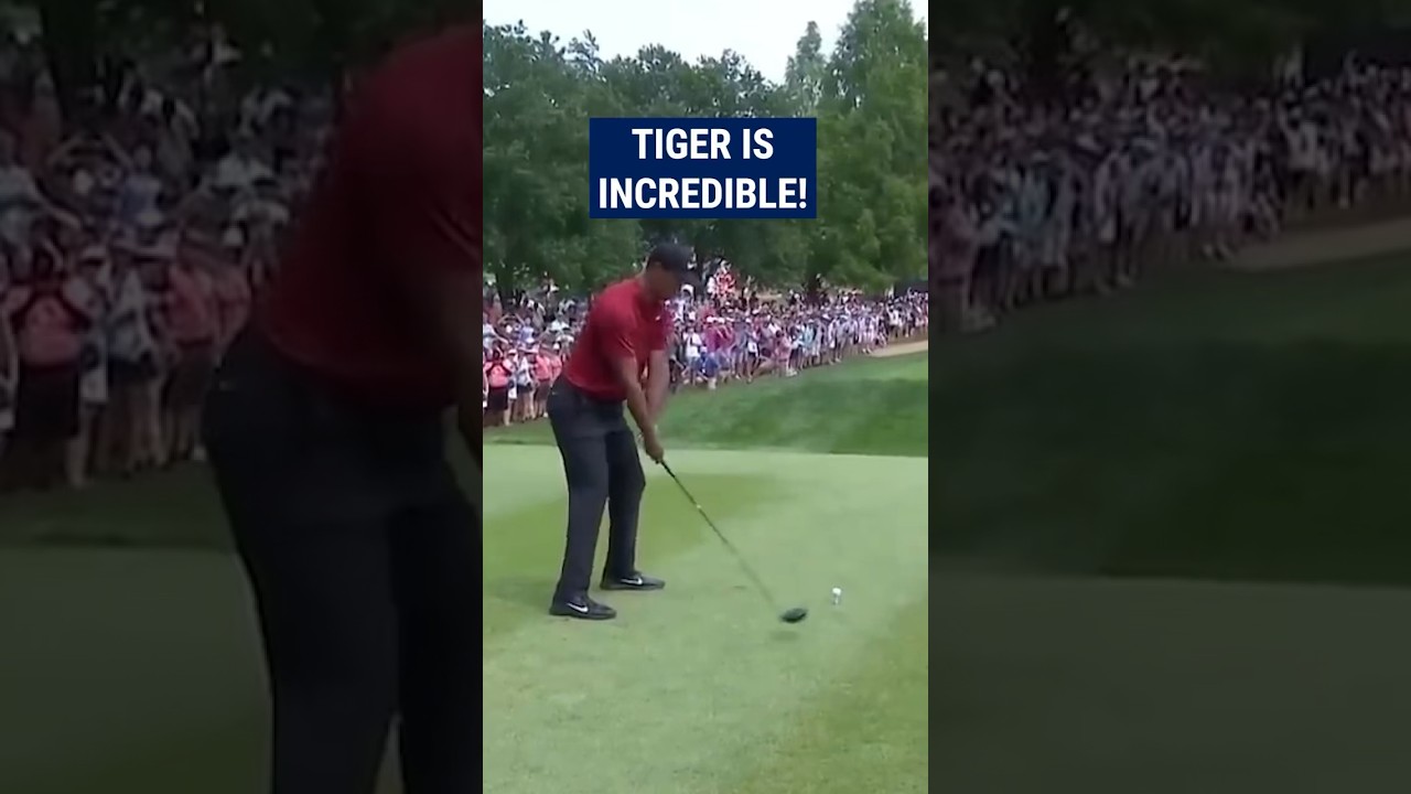 HOW did Tiger make par here!? 😱