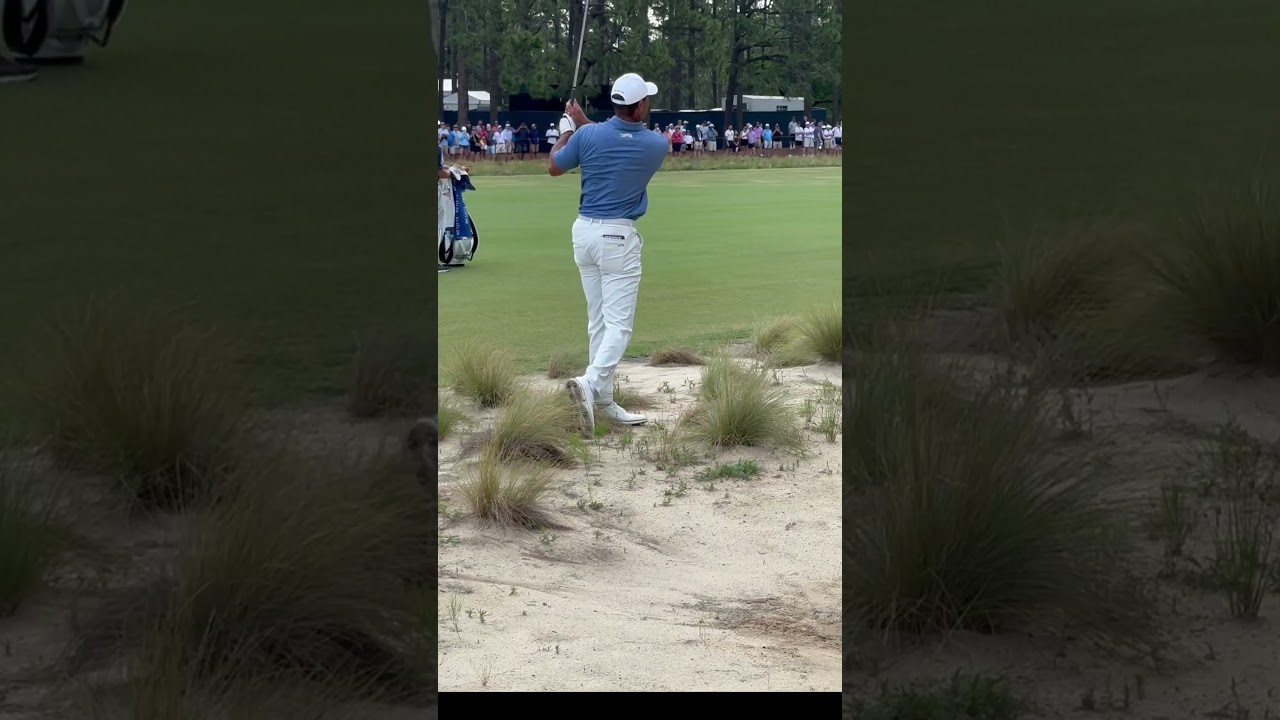 30 seconds in a practice round with Tiger Woods at Pinehurst #golf #tiger