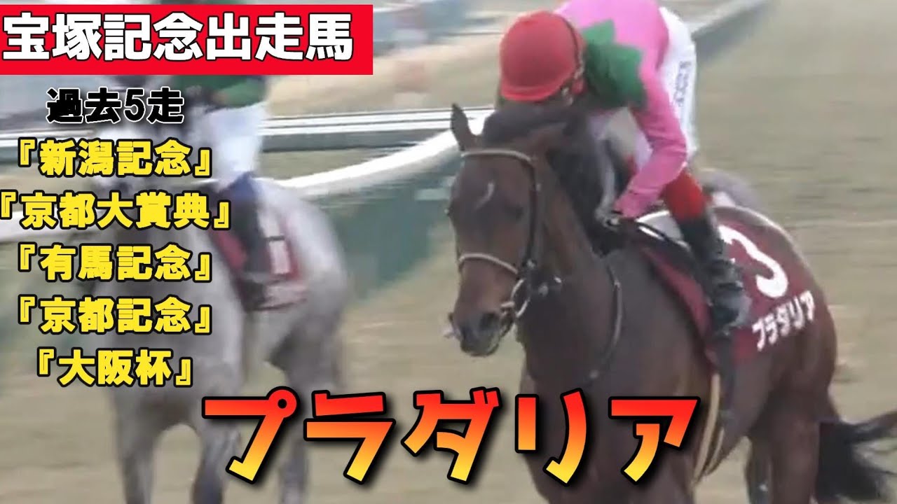 【過去５走】プラダリア(牡5)〈宝塚記念GⅠ出走馬〉