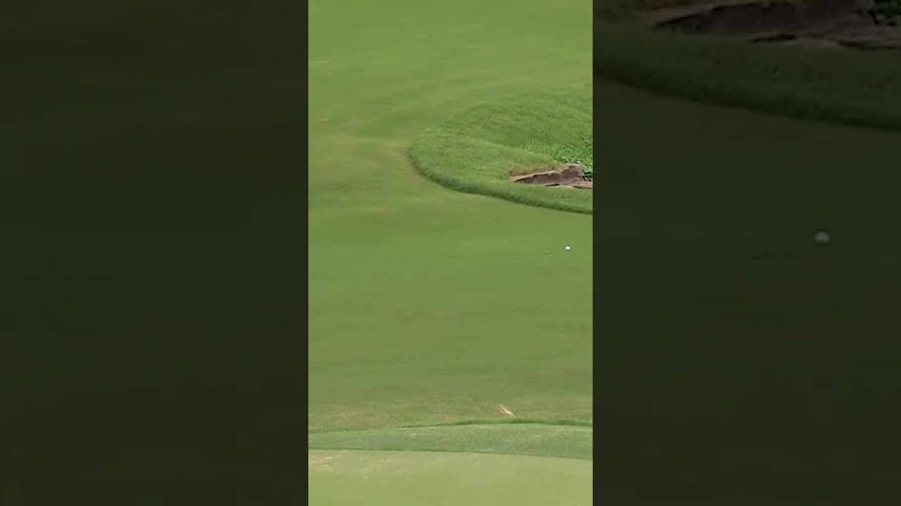 One in a BILLION golf shot! 😱