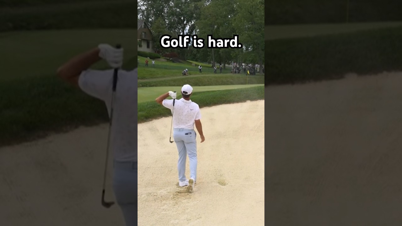 You REALLY hate to see it 🫣