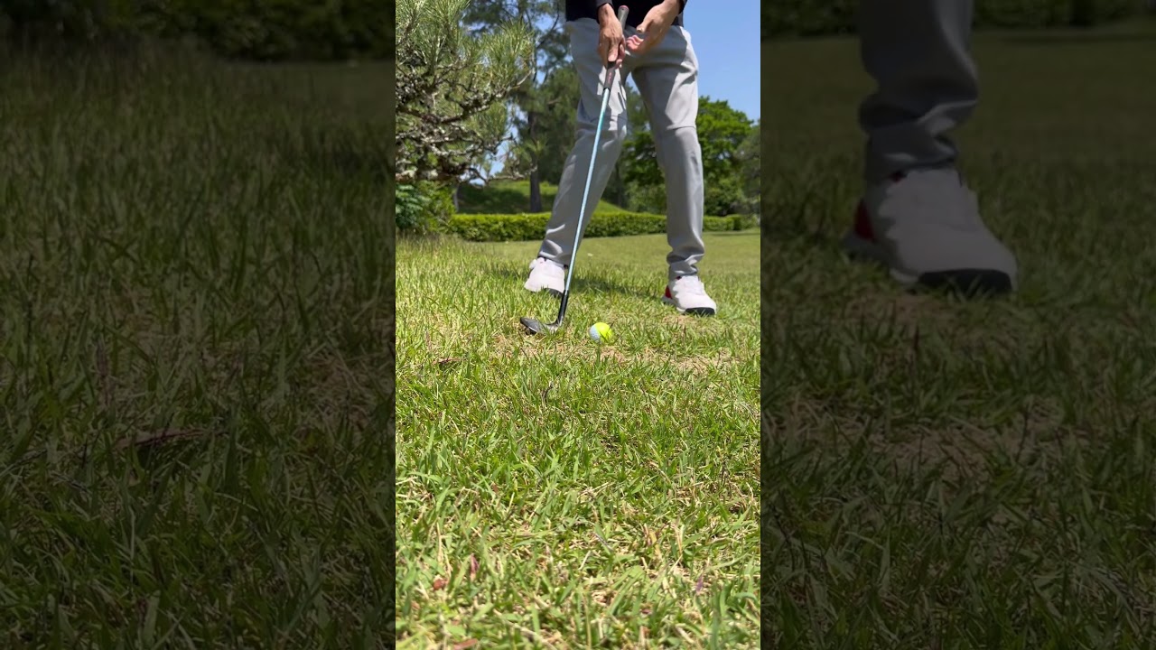 左足下りのアプローチはボールを左に置いてフェイスを開いて打つと傾斜なりにスイングする事が出来ます。#回転式スイング #varigol #shorts #ゴルフ #golf #ゴルフスイング