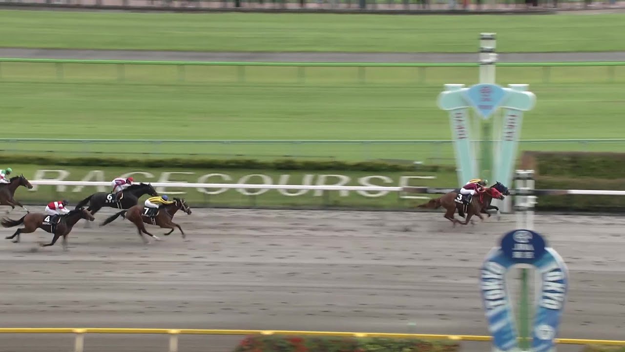 【レース映像】日野特別｜アッシュルバニパル｜ウイニング競馬 2024