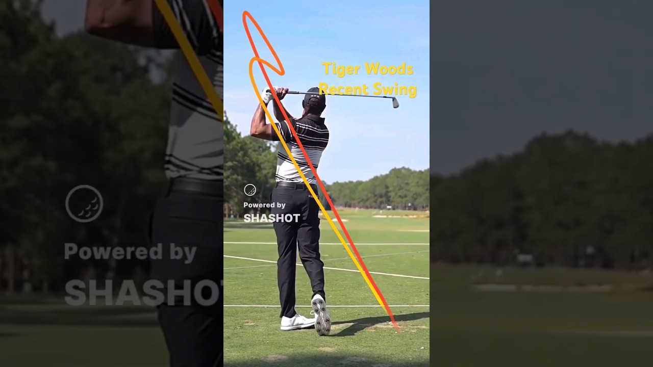 traced by shashot TIGER WOODS RECENT SWING#tigerwoods #GOLF #golfswing #골프 #골프스윙 #shashot #ゴルフスイング