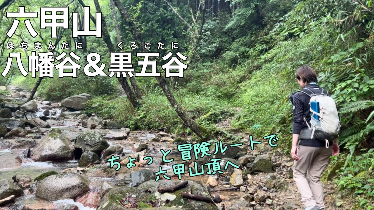 【夫婦登山】六甲山〜八幡谷・黒五谷から谷沿いを堪能するルートで登るよ【公共交通機関登山】