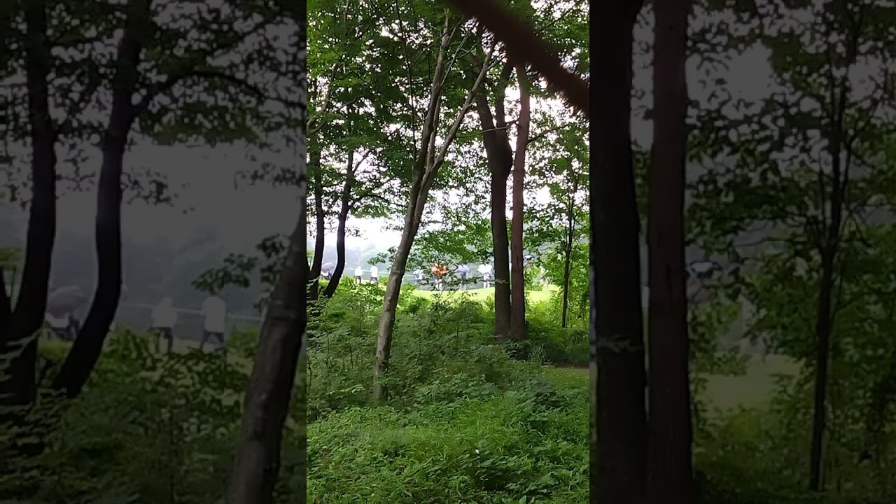 石川遼プロ現在１位JAPANPLAYERSSHIP2024年6月21日