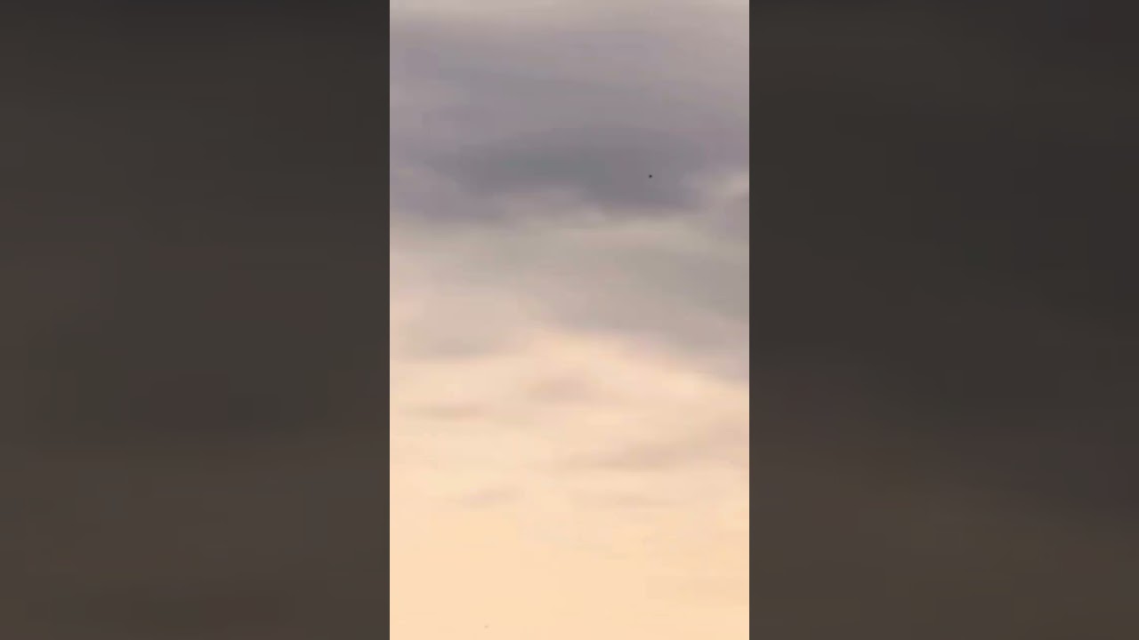 Tiger Woods At Pinehurst 2024