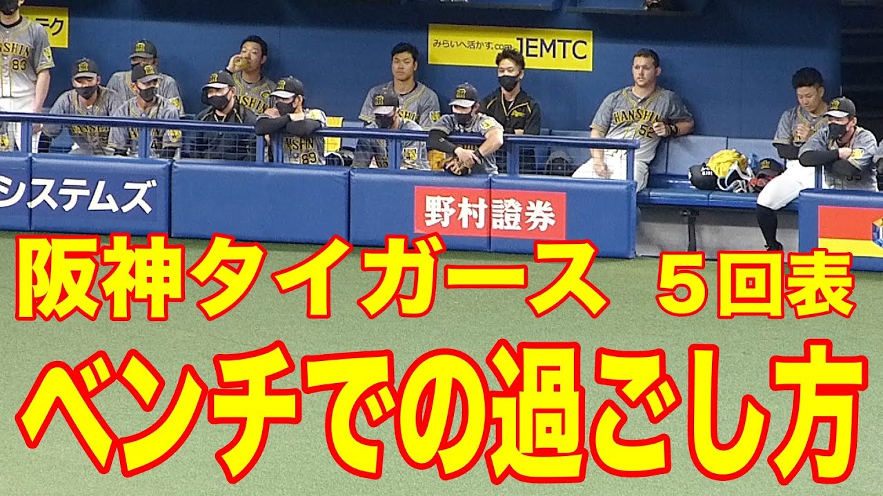 見てるだけで面白い！阪神タイガースベンチの様子 ５回表【2021 プロ野球】