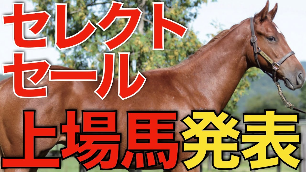 セレクトセール2024、上場馬がついに発表！今年の最高価格はどの馬に？
