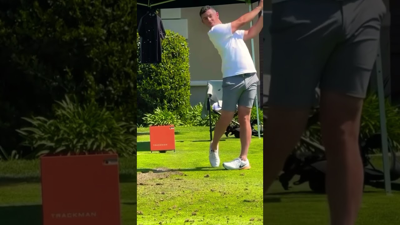 Rory McIlroy Stinger