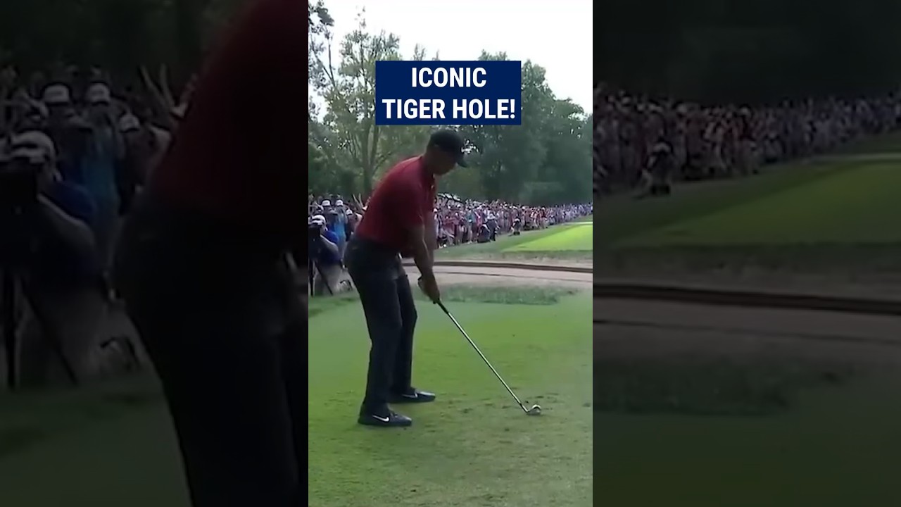 Tiger Woods' final round MASTERY! 😱