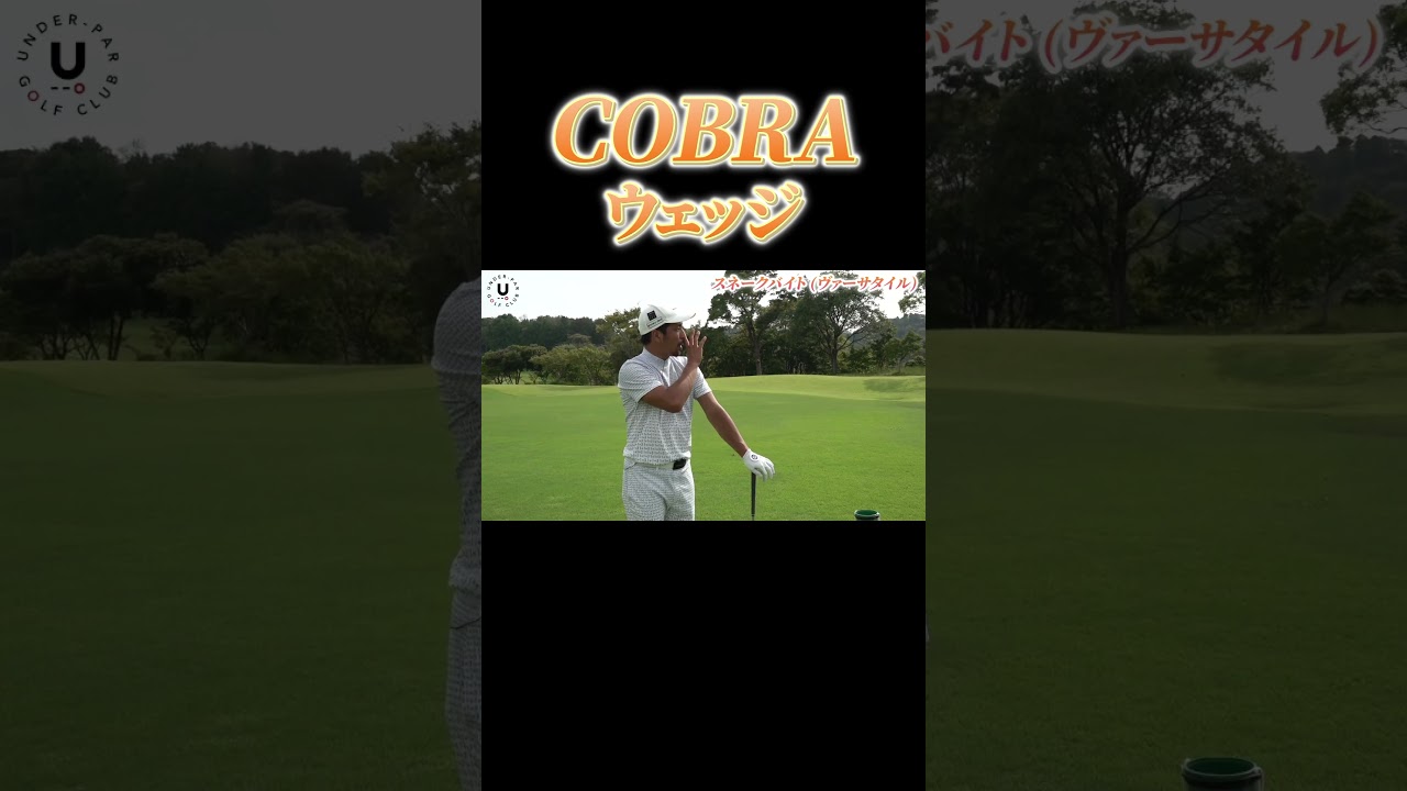 COBRAウェッジ #shots #プロコーチ伊澤秀憲 #ウェッジ試打