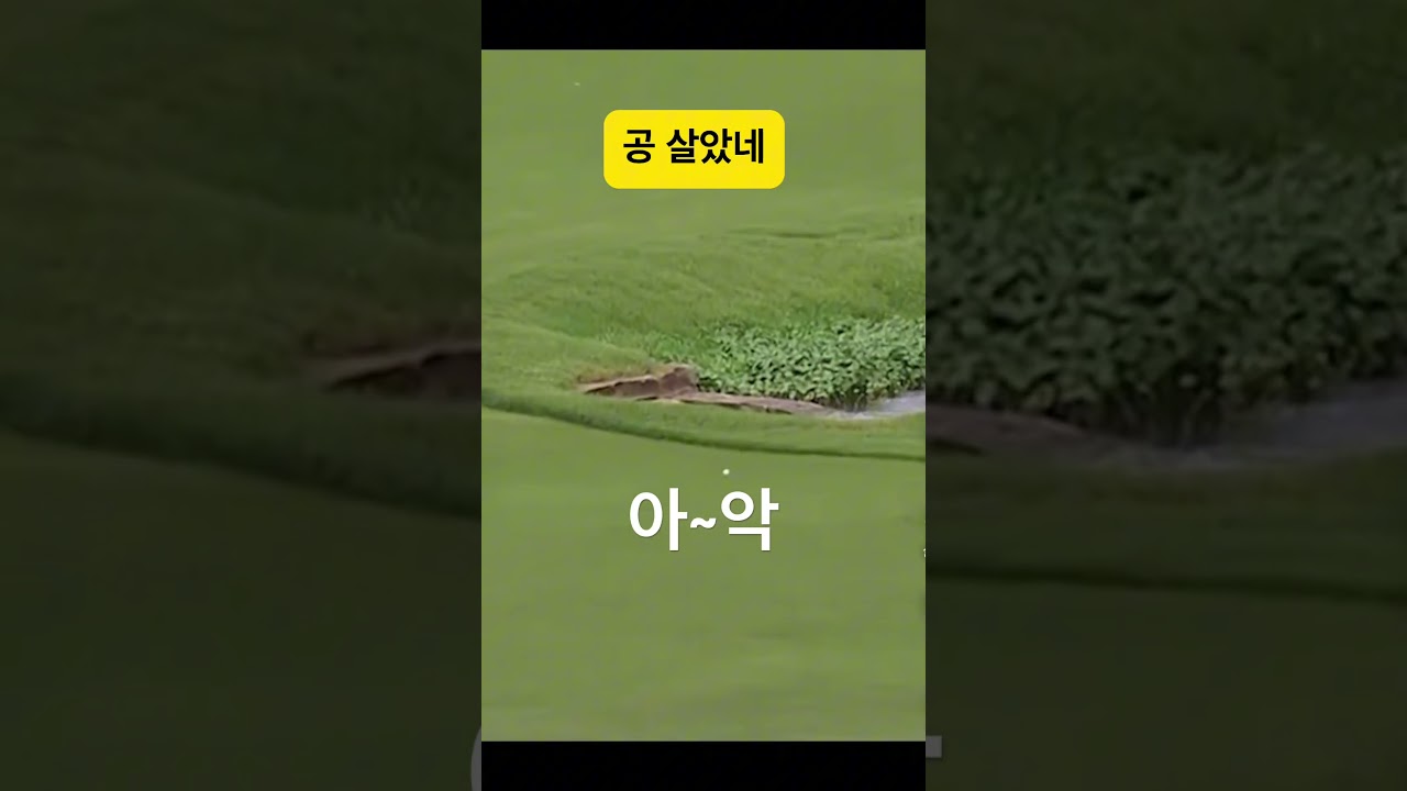 조던 스피스 assist #golf #golfswing #funny #pga #viral #fyp #Jordan Spieth