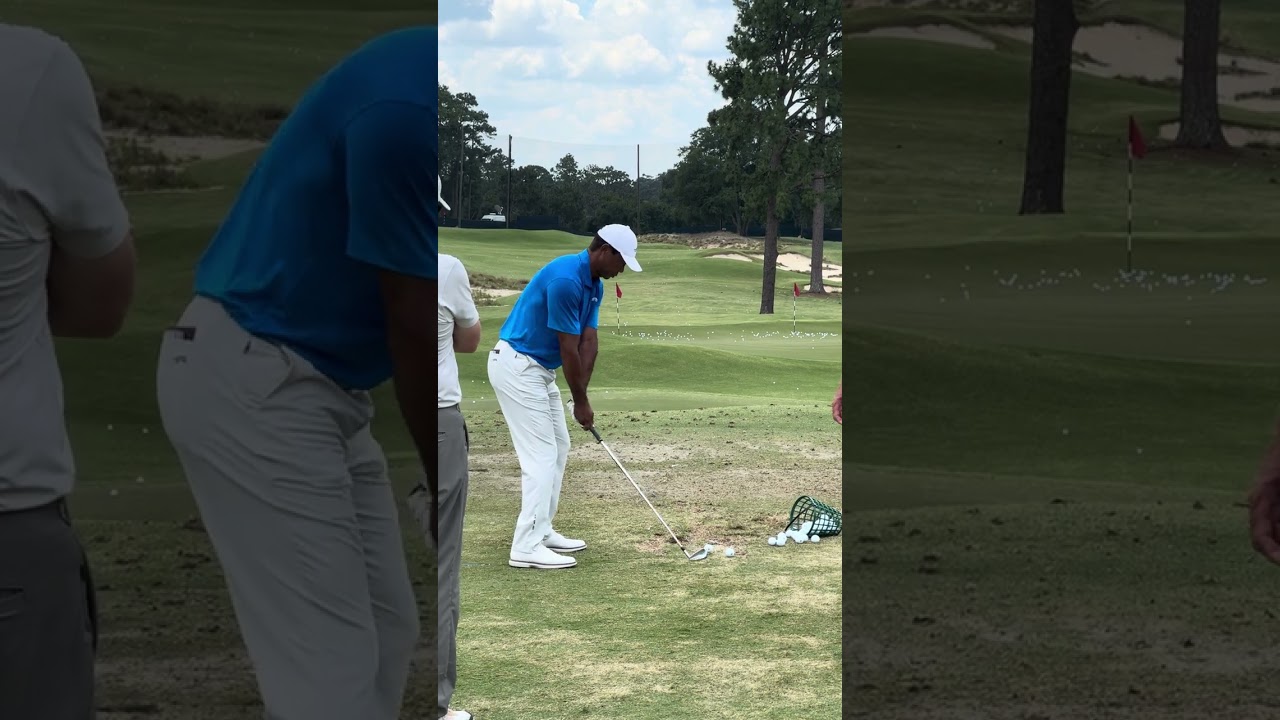 Tiger Woods 4 iron - US Open 2024 DTL