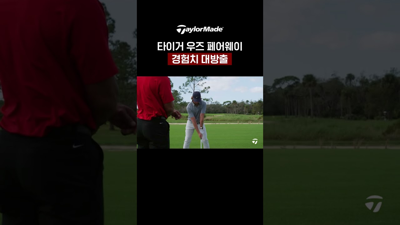 러프에 빠진 볼 타이거 우즈가 빼드립니다!