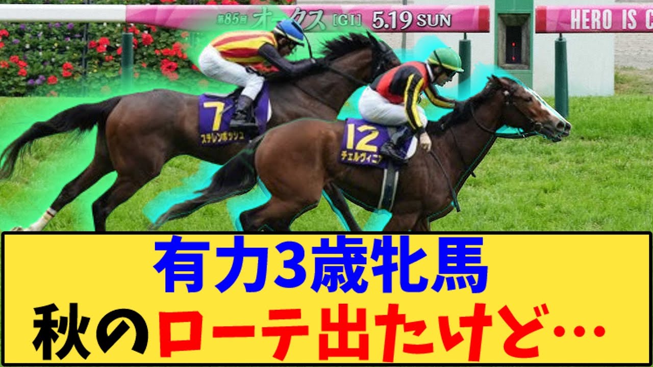 【競馬】「有力3歳牝馬秋のローテ出たけど…」に対する反応【反応集】