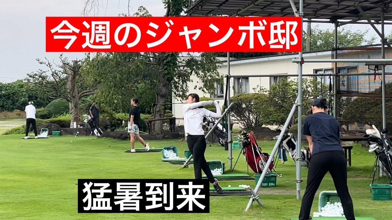 今週のジャンボ邸