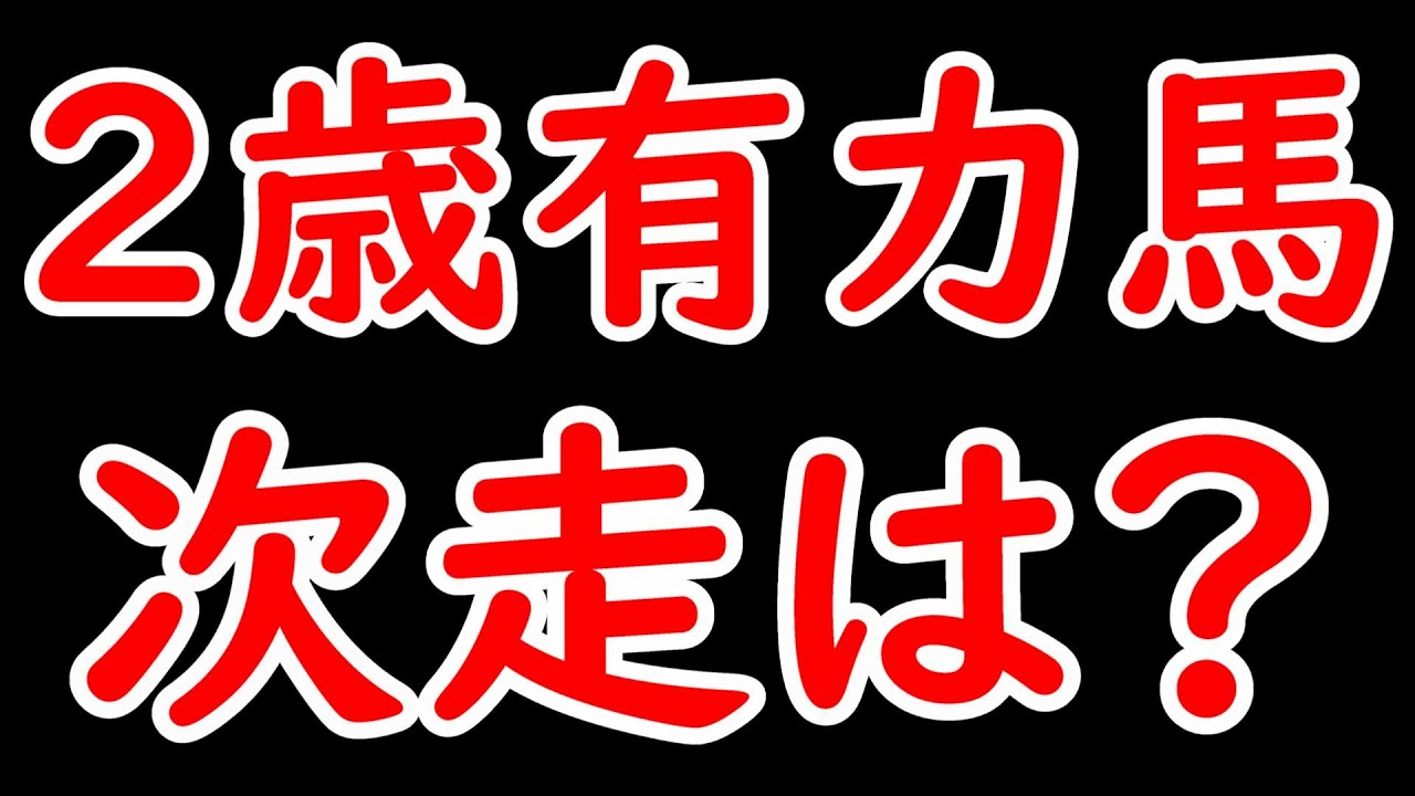 有力2歳馬の次走を考察！ショウナンザナドゥとダノンフェアレディの再戦は実現する？【POG24-25】
