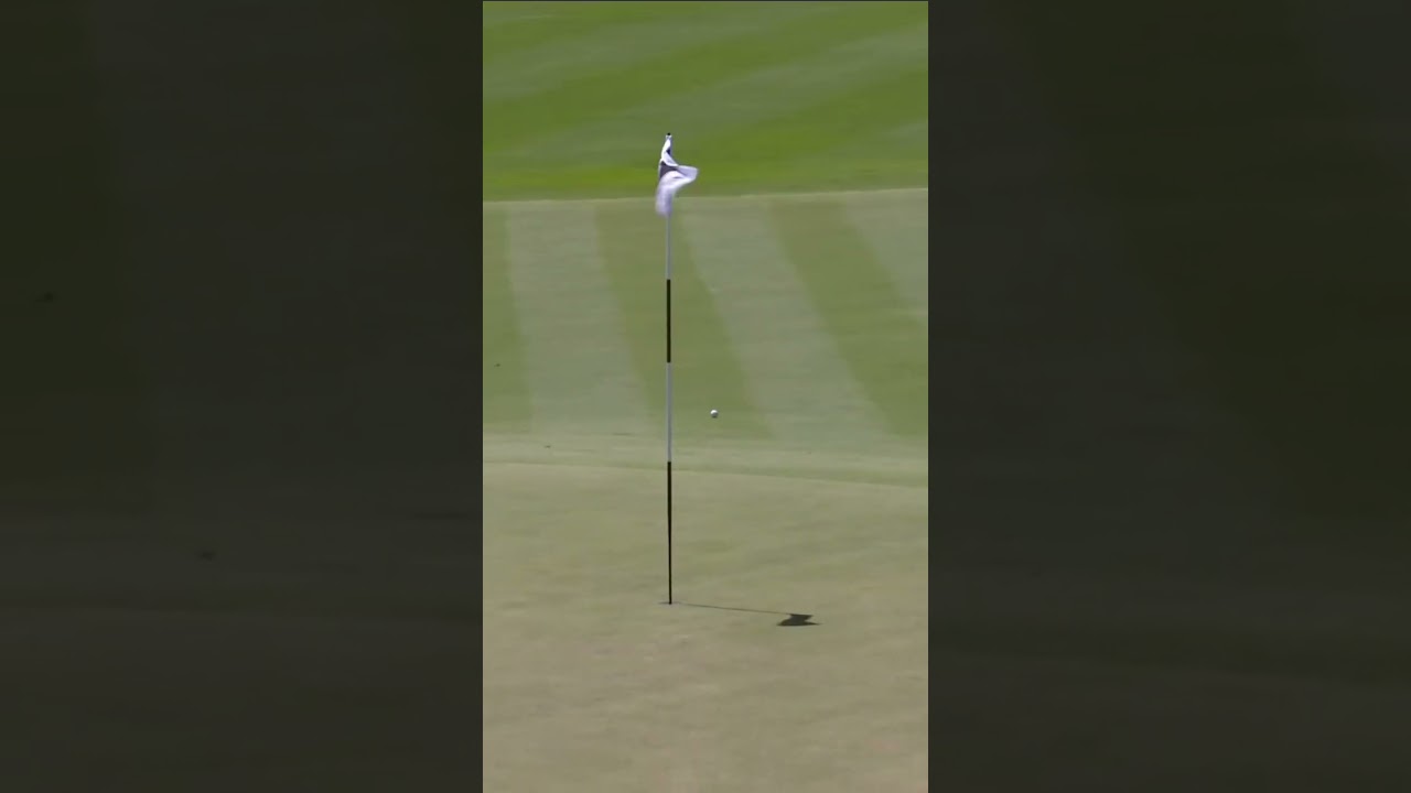 EAGLE for Mickelson! 🦅 #livgolf #shorts