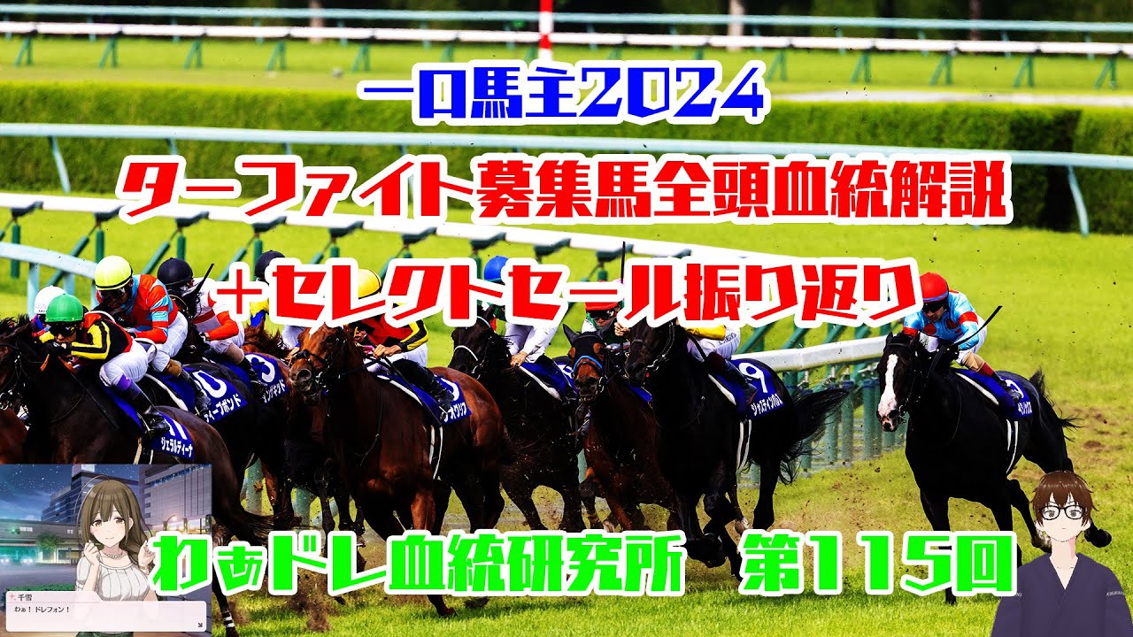 【#わぁドレ血統研究所 第115回】ターファイト募集馬全頭血統解説＋セレクトセール振り返り【一口馬主2024】