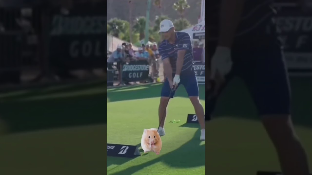 Bryson DeChambeau right down the middle #golf #golfhumor