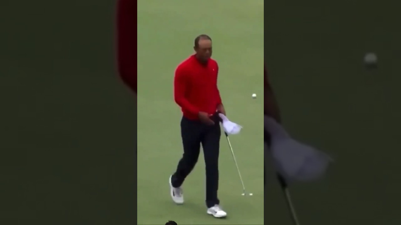 Tiger Woods funny 🤣 Golfing #tigerwoods #golfswing #funny #shorts #pga #livgolf #golf