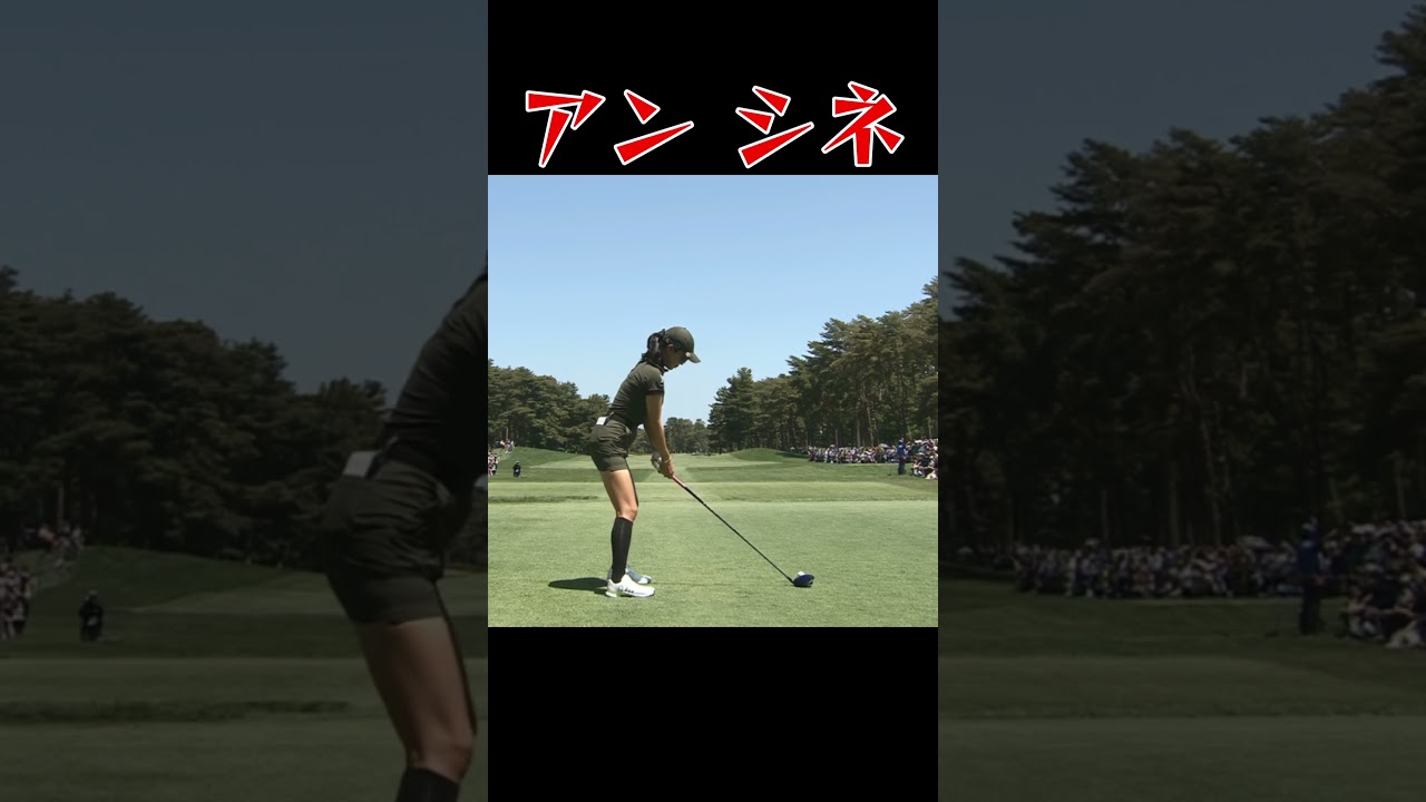アン シネ 　ゴルフスイング