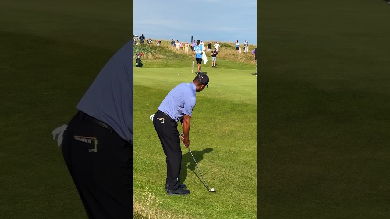 There are few things as perfect as Tiger Woods picking it clean off a tight links lie. 🤌 #shorts