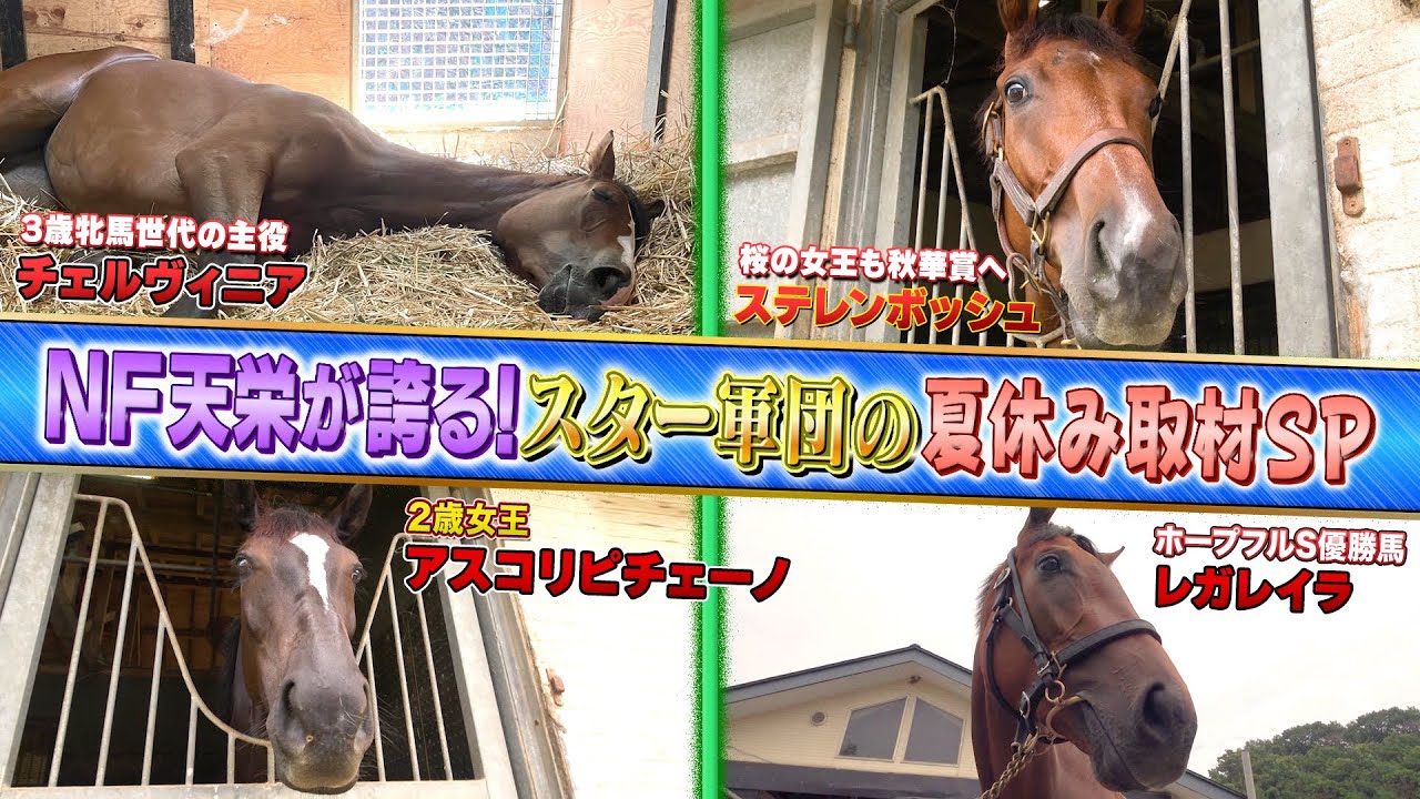 【夏休みSP】NF天栄が誇る！スター軍団に直撃取材！チェルヴィニア、ステレンボッシュ、アスコリピチェーノ、レガレイラ カワイイ姿が満載です！