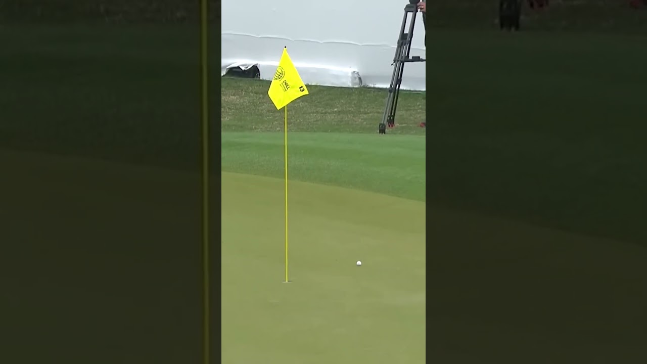 Tiger Woods Magic! Part 7 #shorts #golf #tigerwoods