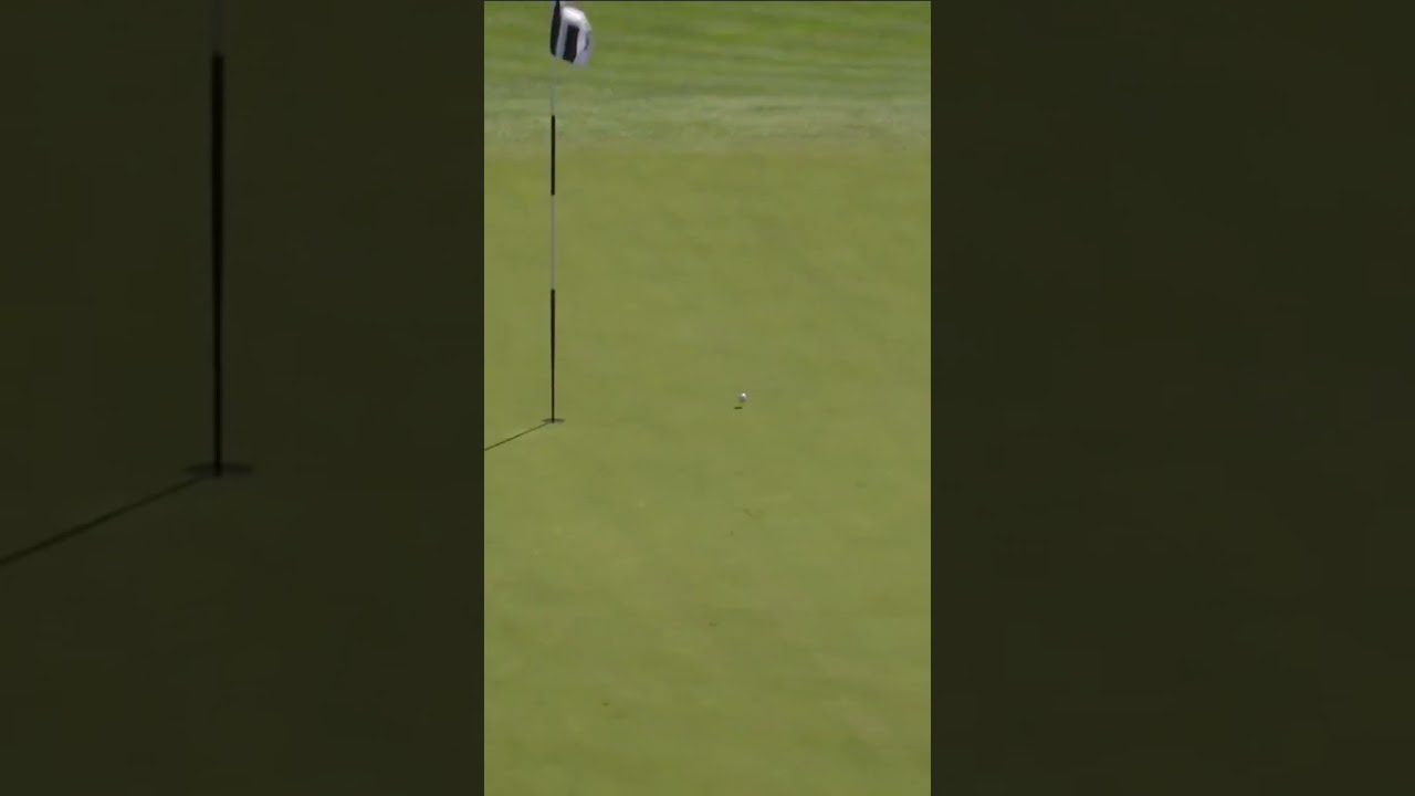 GET IN! Koepka holes out for eagle on the 11th. 🦅 #livgolf #shorts