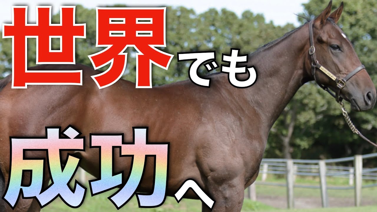 新種牡馬たちが続々と海外進出！シャトル種牡馬の世界挑戦。