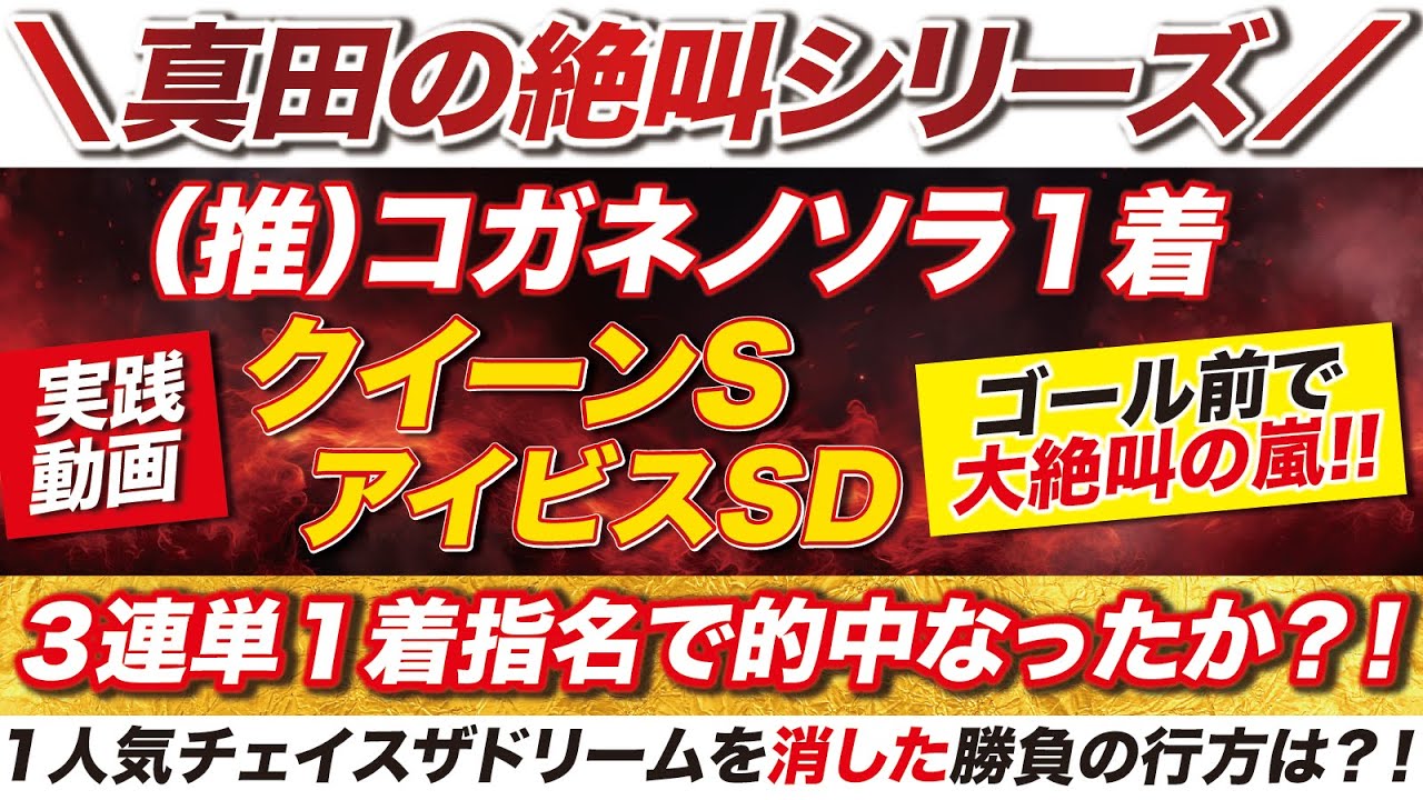 推奨馬コガネノソラが１着→ 【クイーンS＆アイビスSD 2024】頭で指名した３連単で高配当的中なったか？！