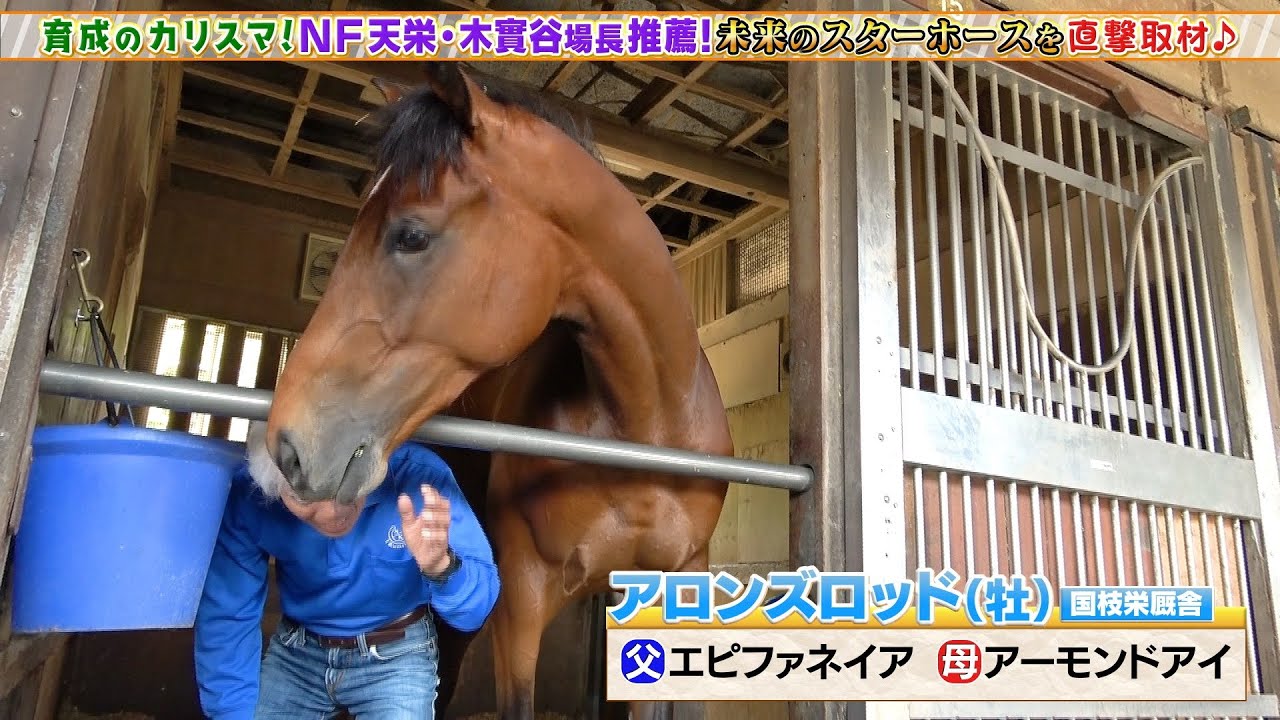 【育成のカリスマ】NF天栄・木實谷馬長 推薦！アロンズロッド、エンブロイダリーなど未来のスターホースを直撃取材！