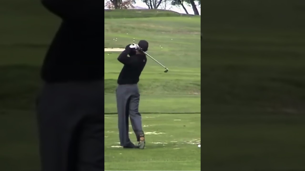 Tiger Woods Iron Swing