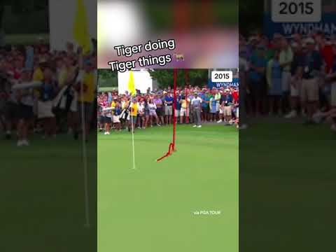 Expect anything different?!