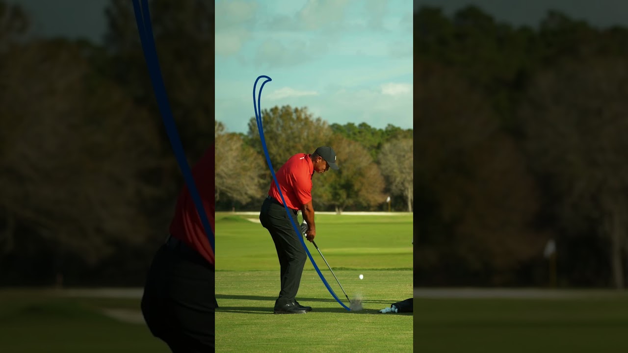 Tiger Woods' swing path appreciation post. #TaylorMade #golf #shorts