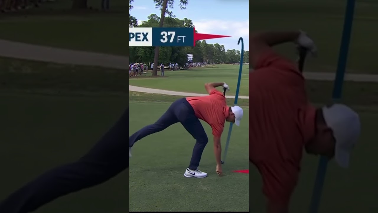 Rory McIlroy stinger at the US Open #rorymcilroy #usopen