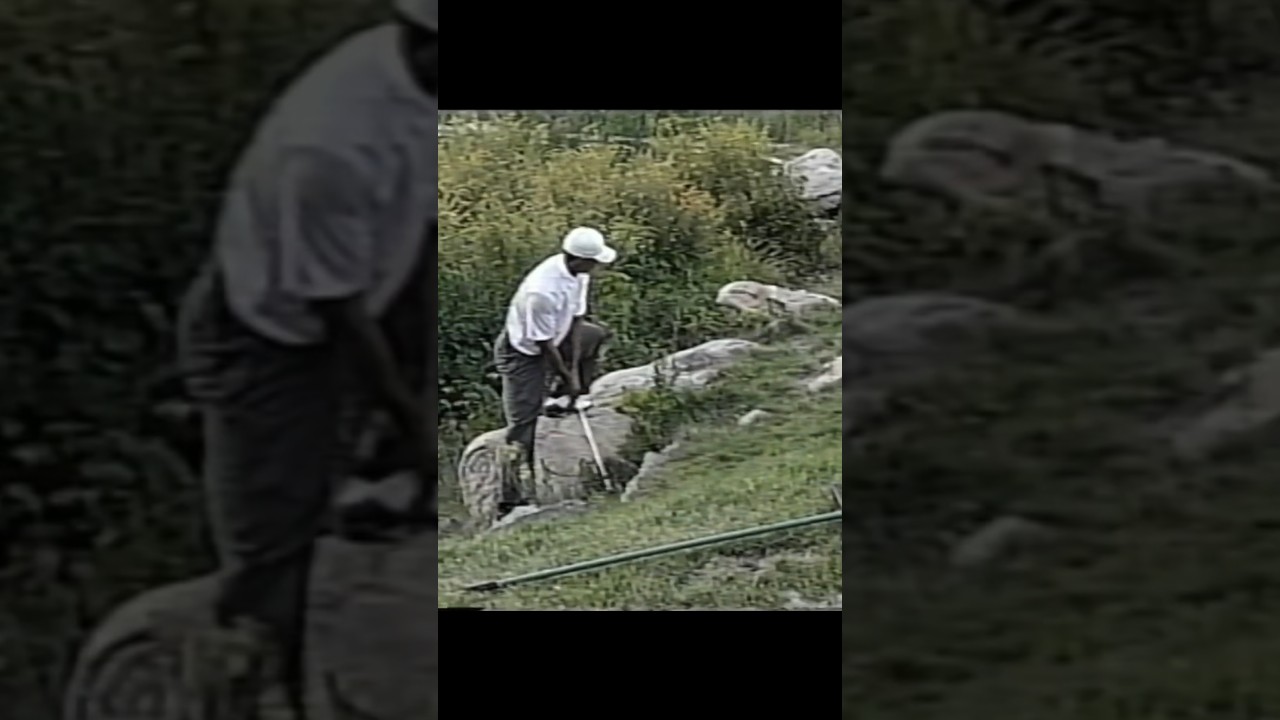 タイガー  トラブルショット2004 ドイツバンクチャンピオンシップ3日目 #music #タイガーウッズ #ゴルフ #golf #song #pop