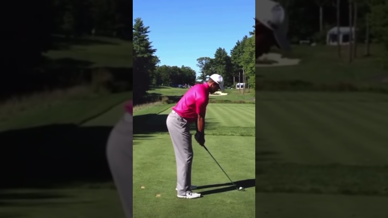 Tiger Woods Iron Swing