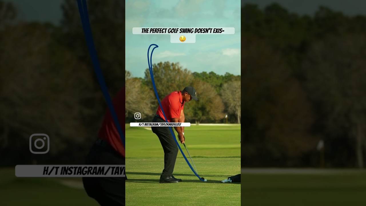 Tiger Woods swing appreciation 🐅