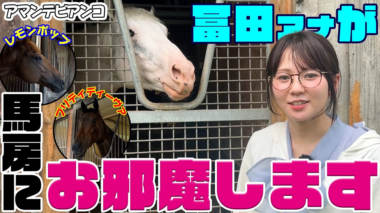 レモンポップ！アマンテビアンコ！プリティディーヴァ！かわいい姿満載！冨田アナが馬房にお邪魔します｜ウイニングTube