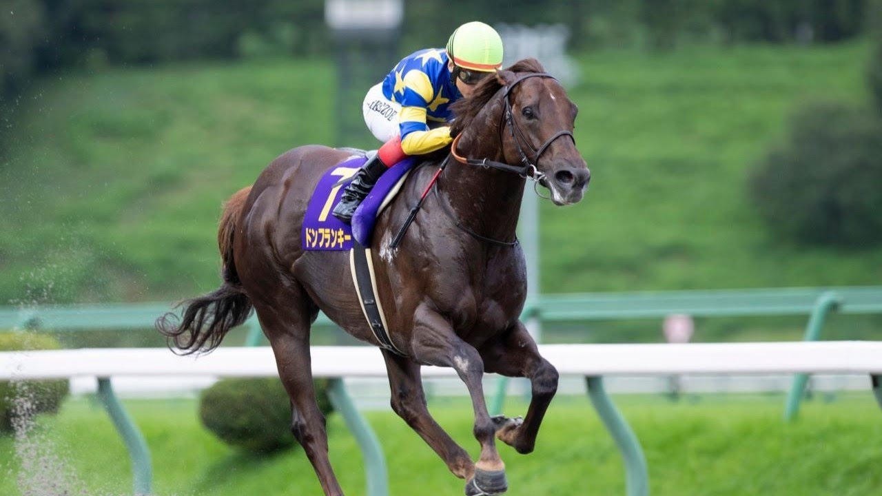 【競馬】2024年 第29回クラスターカップ(JpnⅢ)【ドンフランキー / 池添謙一】