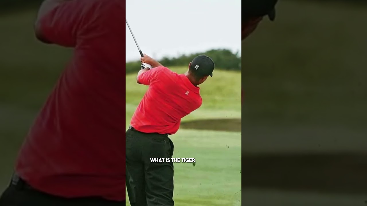 "The TIGER STINGER": Golf's Most SATISFYING Golf Shot!
