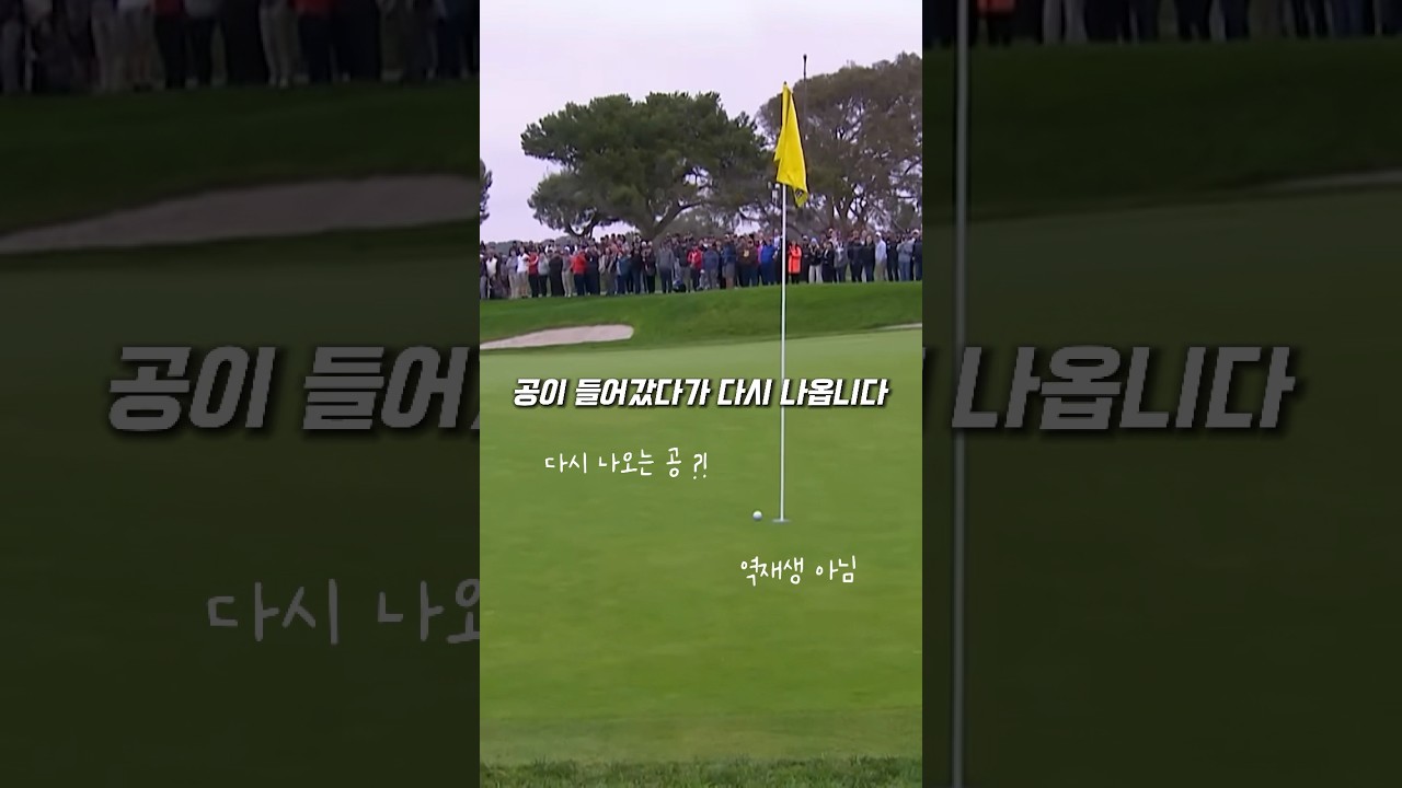 신이 허락하지 않은 샷