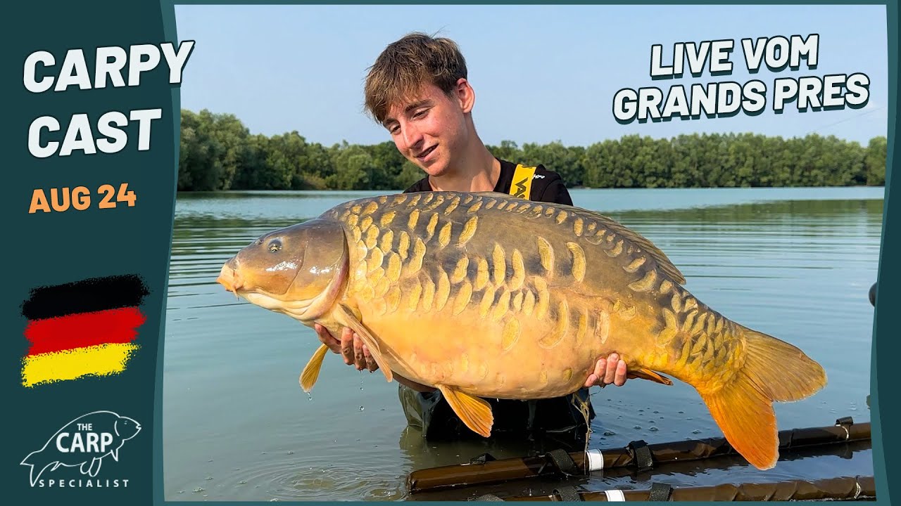 Carpy Cast live vanuit de Grands Pres - Grote vangsten in de nazomer - Karpervissen in Frankrijk🎣