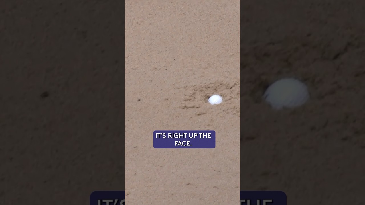 WORST plugged bunker lie, EVER? 🤢