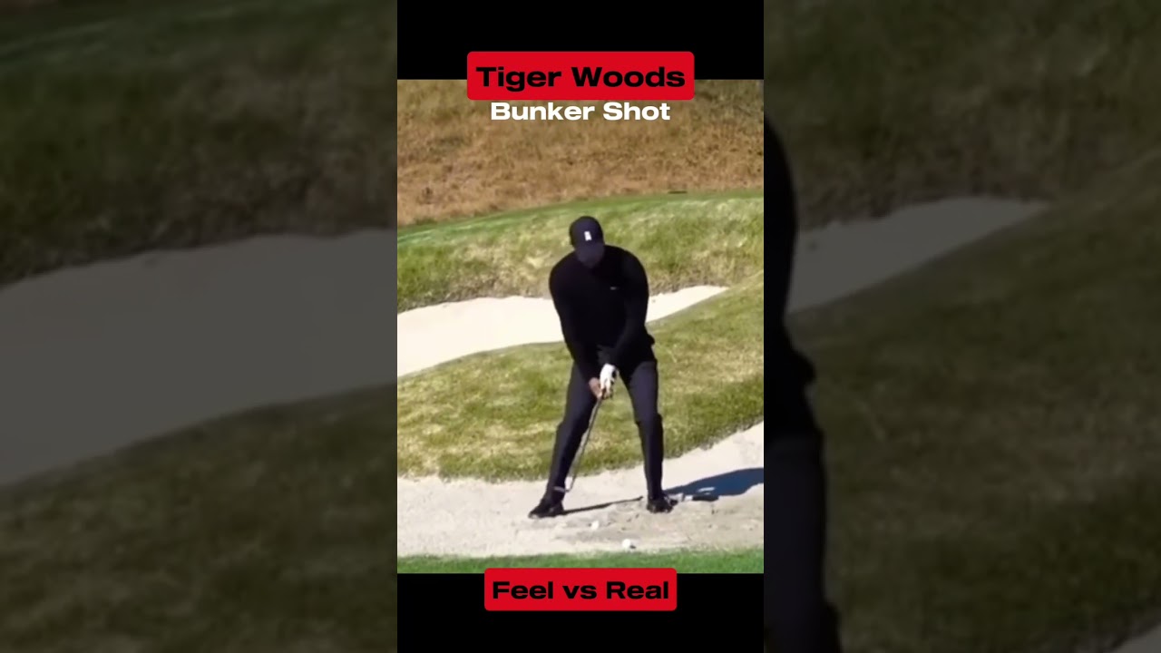 Tiger Woods 🐐 | Feel vs Real | Bunker Shots #golf #tigerwoods #bunkershot #goat