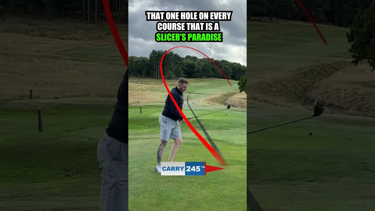 Slicer's paradise AKA dog leg right 🤣